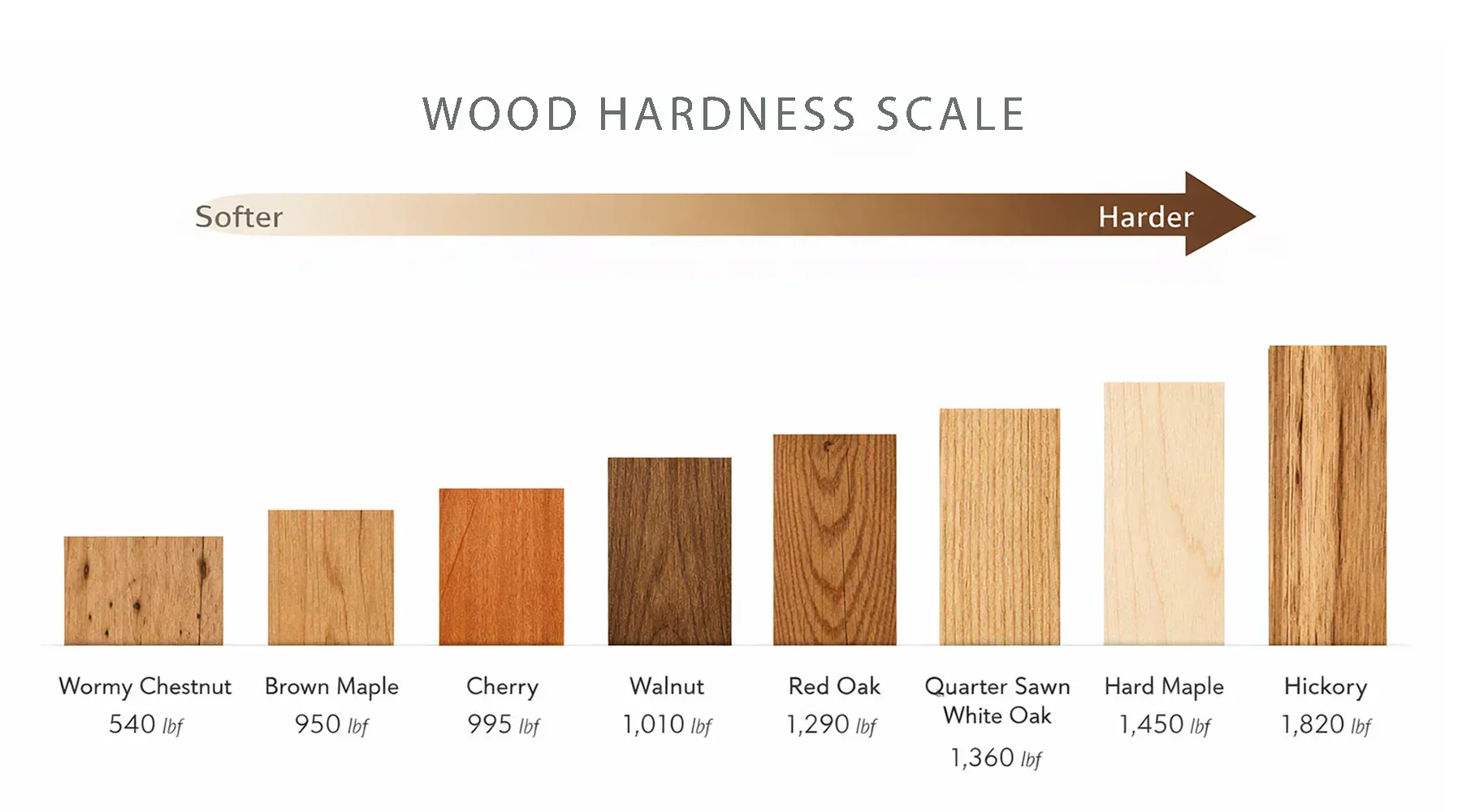 The Secret Life of Hardwoods
