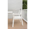 Calla Dining Arm Chair
