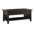 Moraine Coffee Table