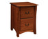Master 2-Drawer File Cabinet